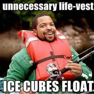 funniest-memes-unnecessary-life-vest-ice-cubes-float